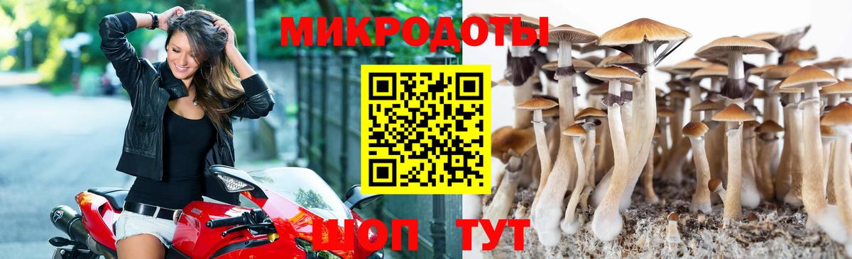 Волгоград  Псилоцибиновые грибы прущие грибы  Вход с VPN 